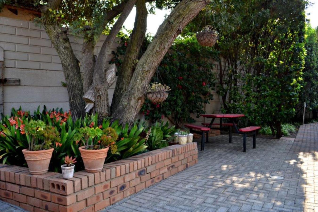 Bokmakierie Gastehuis Emalahleni Pty Ltd Bagian luar foto